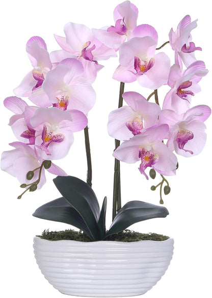 Large Artificial Orchid Arrangement in Oval Ribbed Ceramic Pot, White
