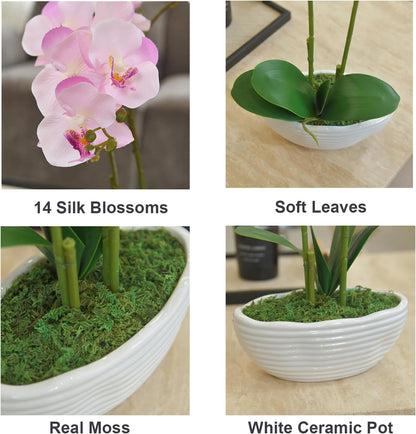 Large Artificial Orchid Arrangement in Oval Ribbed Ceramic Pot, White
