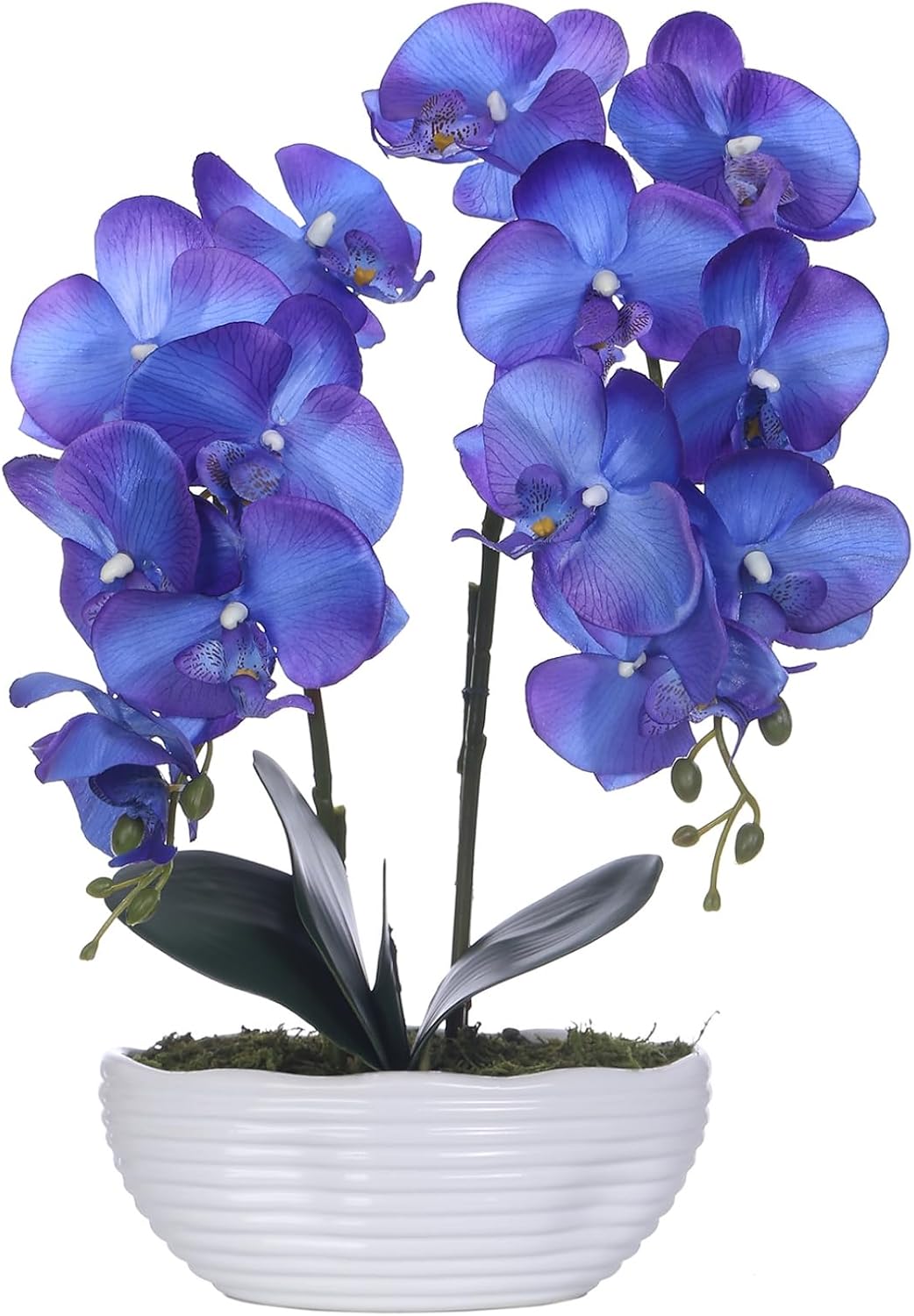 Large Artificial Orchid Arrangement in Oval Ribbed Ceramic Pot, White