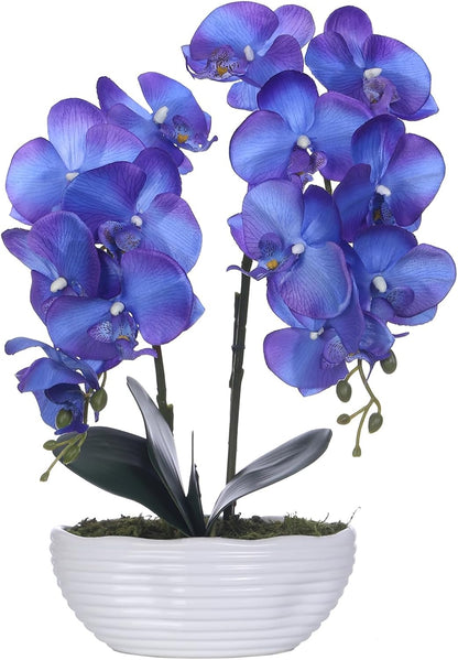 Large Artificial Orchid Arrangement in Oval Ribbed Ceramic Pot, White