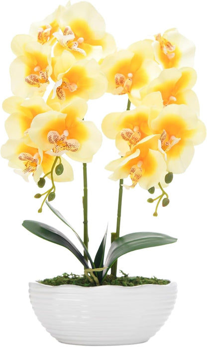 Large Artificial Orchid Arrangement in Oval Ribbed Ceramic Pot, White