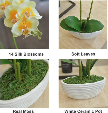 Large Artificial Orchid Arrangement in Oval Ribbed Ceramic Pot, White