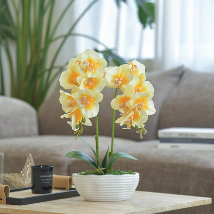 Large Artificial Orchid Arrangement in Oval Ribbed Ceramic Pot, White