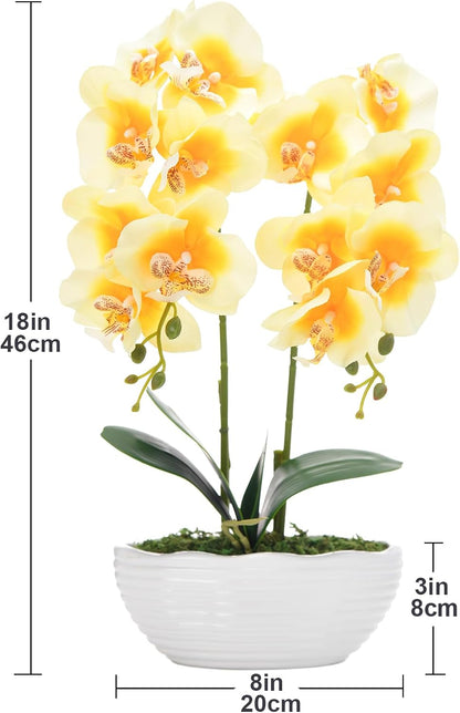 Large Artificial Orchid Arrangement in Oval Ribbed Ceramic Pot, White