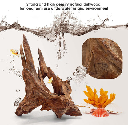 Natural Large Aquarium Driftwood for Fish Tanks & Reptile Terrariums – 100% Safe Fish Tank Decorations, 2-Piece 10-14 Inch Unique Twisted Branches Low Tannin, Easy to Sink