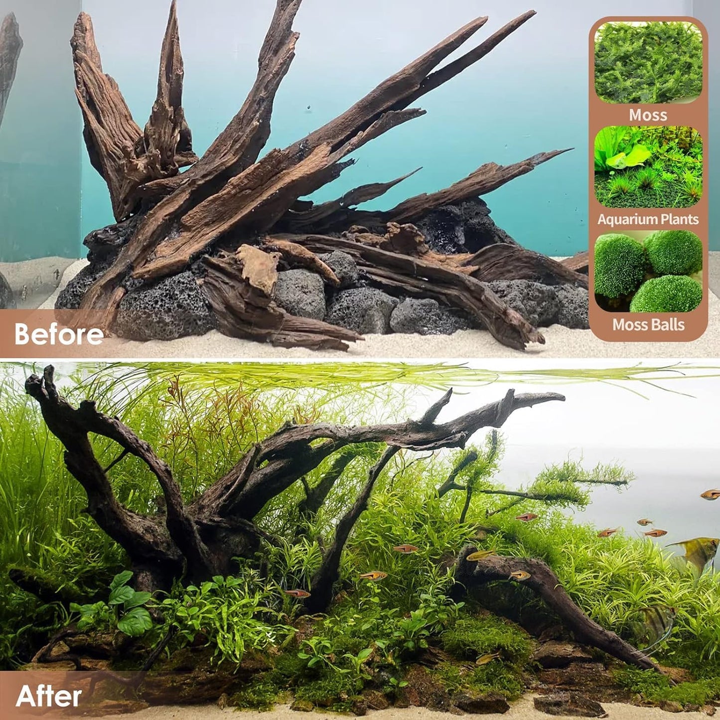 Natural Large Aquarium Driftwood for Fish Tanks & Reptile Terrariums – 100% Safe Fish Tank Decorations, 2-Piece 10-14 Inch Unique Twisted Branches Low Tannin, Easy to Sink
