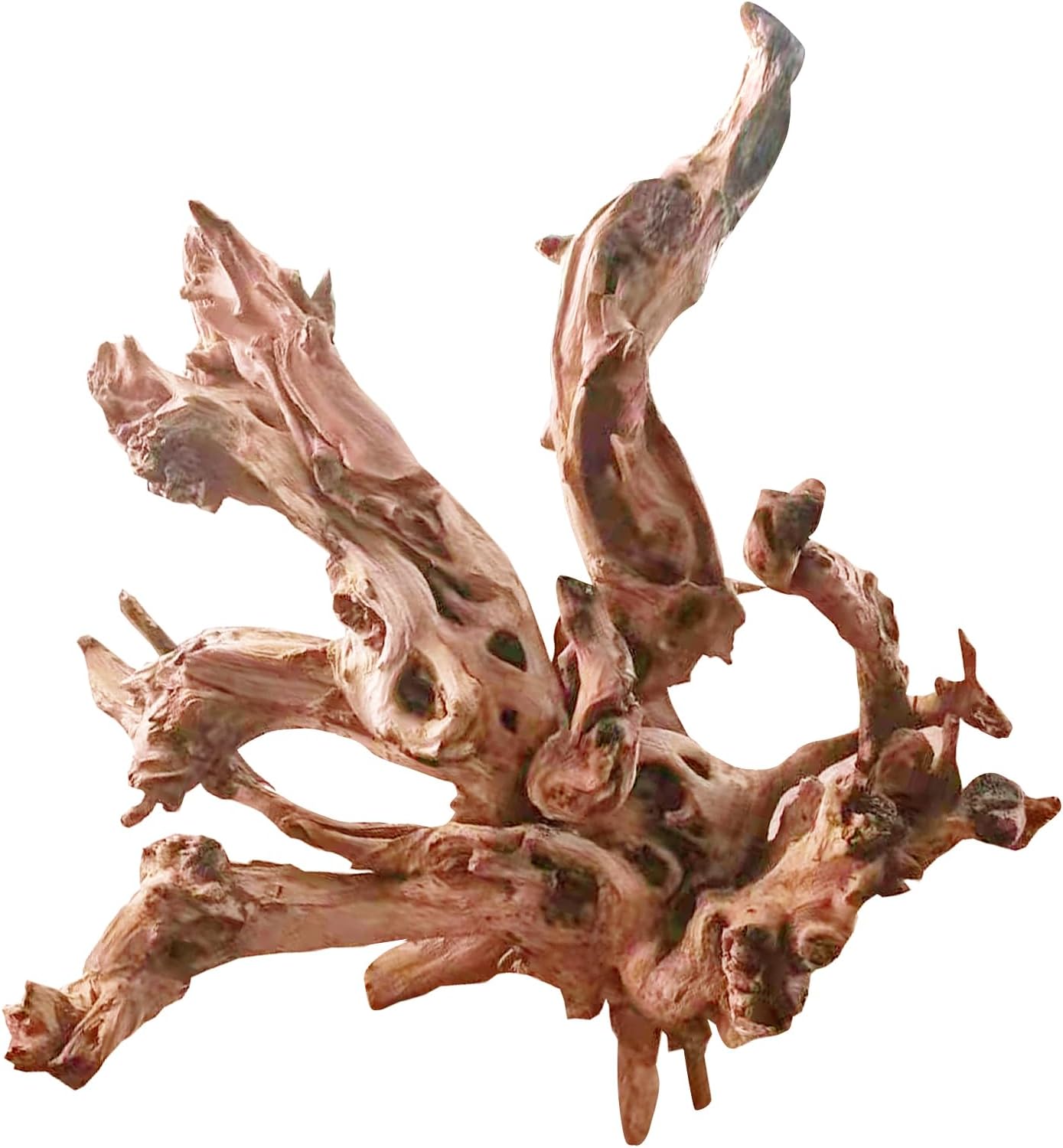 Natural Large Aquarium Driftwood for Fish Tanks & Reptile Terrariums – 100% Safe Fish Tank Decorations, 2-Piece 10-14 Inch Unique Twisted Branches Low Tannin, Easy to Sink