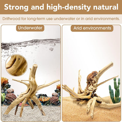 Natural Large Aquarium Driftwood for Fish Tanks & Reptile Terrariums – 100% Safe Fish Tank Decorations, 2-Piece 10-14 Inch Unique Twisted Branches Low Tannin, Easy to Sink