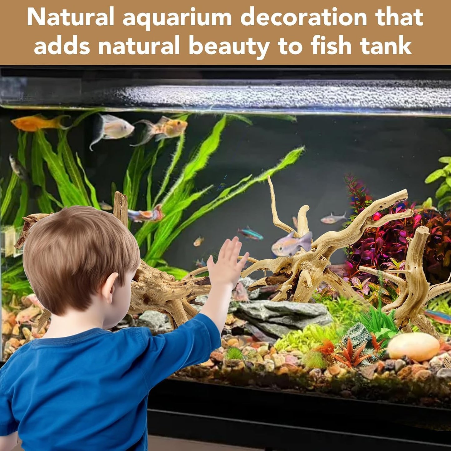 Natural Large Aquarium Driftwood for Fish Tanks & Reptile Terrariums – 100% Safe Fish Tank Decorations, 2-Piece 10-14 Inch Unique Twisted Branches Low Tannin, Easy to Sink