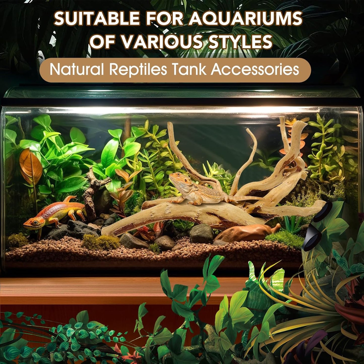Natural Large Aquarium Driftwood for Fish Tanks & Reptile Terrariums – 100% Safe Fish Tank Decorations, 2-Piece 10-14 Inch Unique Twisted Branches Low Tannin, Easy to Sink