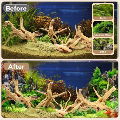 Natural Large Aquarium Driftwood for Fish Tanks & Reptile Terrariums – 100% Safe Fish Tank Decorations, 2-Piece 10-14 Inch Unique Twisted Branches Low Tannin, Easy to Sink