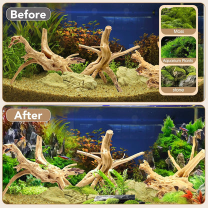 Natural Large Aquarium Driftwood for Fish Tanks & Reptile Terrariums – 100% Safe Fish Tank Decorations, 2-Piece 10-14 Inch Unique Twisted Branches Low Tannin, Easy to Sink