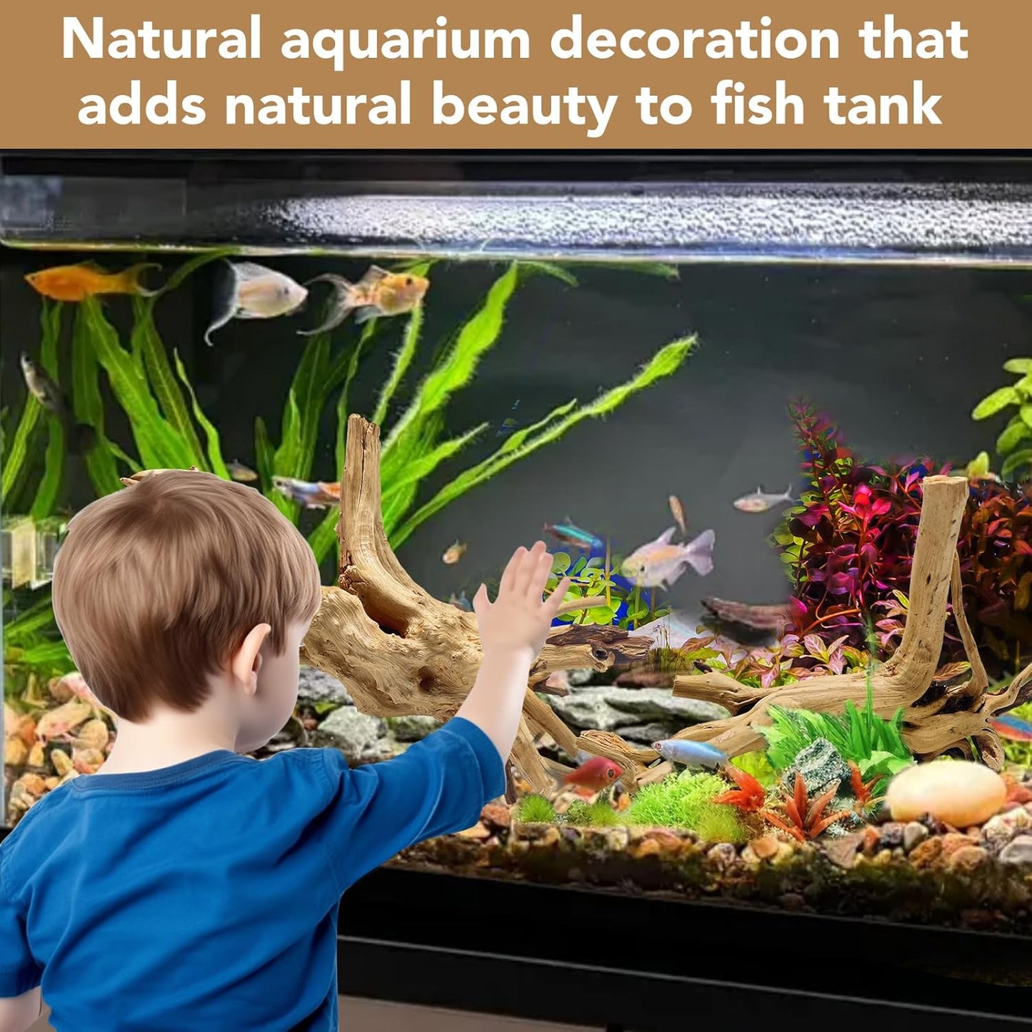 Natural Large Aquarium Driftwood for Fish Tanks & Reptile Terrariums – 100% Safe Fish Tank Decorations, 2-Piece 10-14 Inch Unique Twisted Branches Low Tannin, Easy to Sink