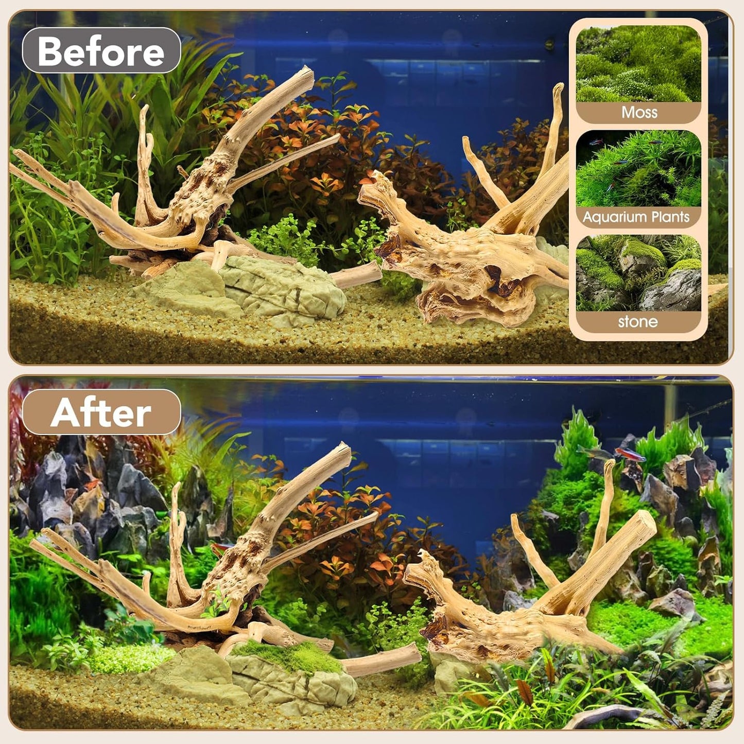 Natural Large Aquarium Driftwood for Fish Tanks & Reptile Terrariums – 100% Safe Fish Tank Decorations, 2-Piece 10-14 Inch Unique Twisted Branches Low Tannin, Easy to Sink