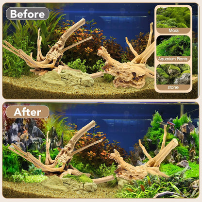 Natural Large Aquarium Driftwood for Fish Tanks & Reptile Terrariums – 100% Safe Fish Tank Decorations, 2-Piece 10-14 Inch Unique Twisted Branches Low Tannin, Easy to Sink