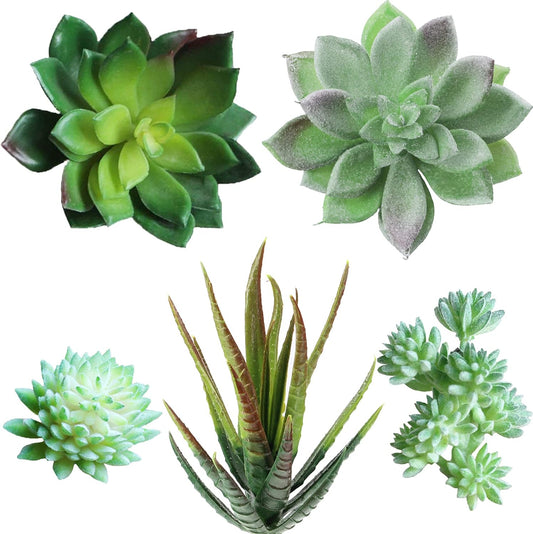 5 Pcs Assorted Artificial Succulents Plants Unpotted Small Green Cactus Echeveria Picks Fake Succulents Bulk for Succulent Garden Centerpiece Wreath Floral Arrangement Indoor Outdoor Home Décor
