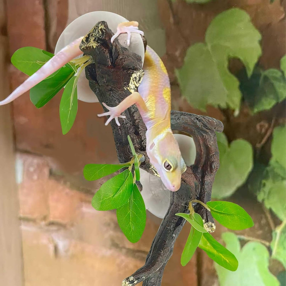 Reptile Corner Branch Resin Climb Tree Branch Decor with Leaves Terrarium Plant Decoration with Suction Cup Gecko Plant Ornament for Amphibian Lizard Snake Climbing