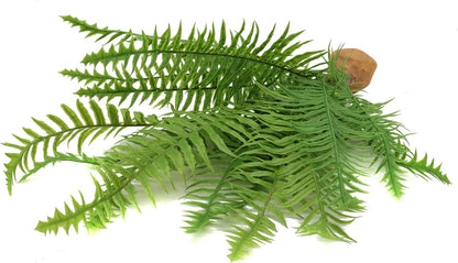 Fake Fern Plants, Reptile Plastic Terrarium Decor, Reptiles Amphibians Tank Accessories for Crested Gecko Leopard Lizard Chameleon