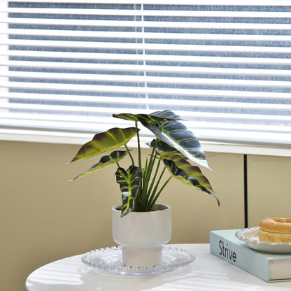 Artificial Plants in Ceramic Pot Fake Potted Plant Faux Alocasia Begonia Calathea Plants for Home Office Bathroom Table Décor