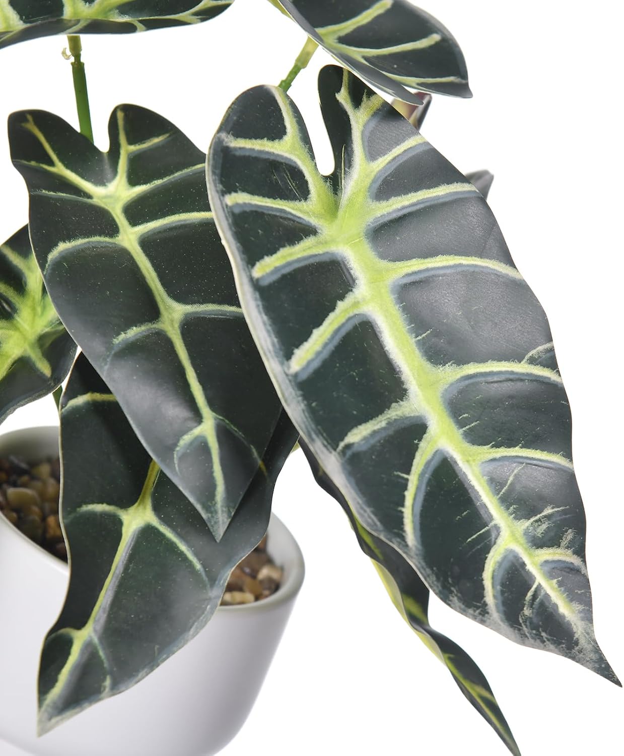 Artificial Plants in Ceramic Pot Fake Potted Plant Faux Alocasia Begonia Calathea Plants for Home Office Bathroom Table Décor