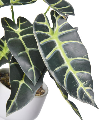 Artificial Plants in Ceramic Pot Fake Potted Plant Faux Alocasia Begonia Calathea Plants for Home Office Bathroom Table Décor