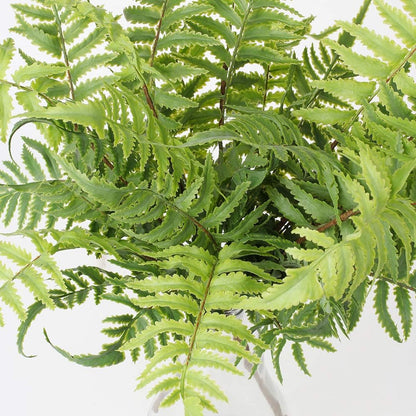 Artificial Rosemary Stems Fake Greenery Plants Faux Bushes Shrubs in Frosted Green for Decor Home Indoor Outdoor Garden 4pcs