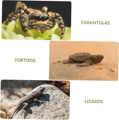 Reptile Mat for Tortoise Terrarium Wear-Resistant Artificial Grass Carpet Comfortable Substrate for Snakes Lizards and Amphibians