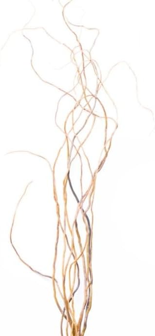 Sandblasted Ghostwood Branch 12" (California Driftwood)