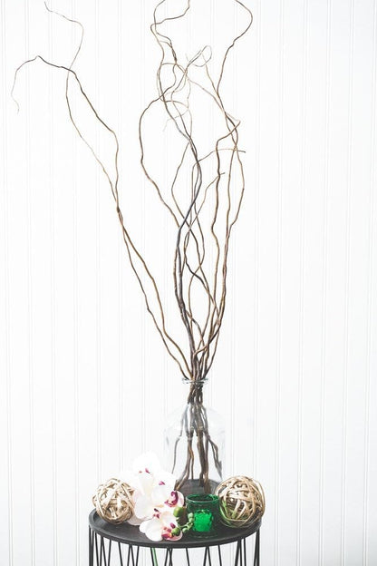 Sandblasted Ghostwood Branch 12" (California Driftwood)