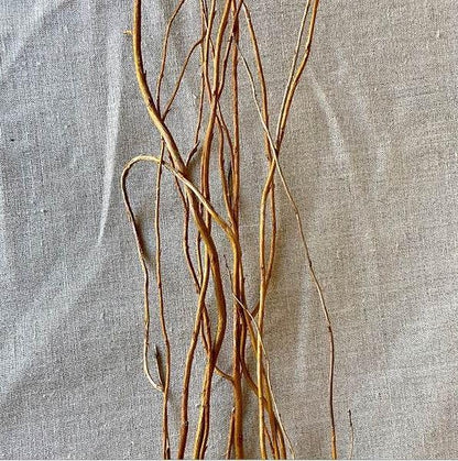 Sandblasted Ghostwood Branch 12" (California Driftwood)