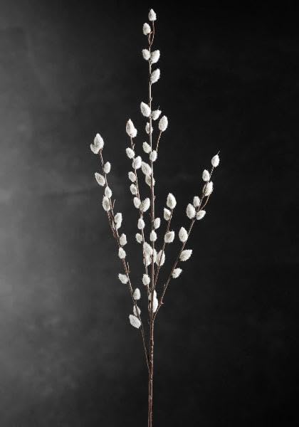 Sandblasted Ghostwood Branch 12" (California Driftwood)