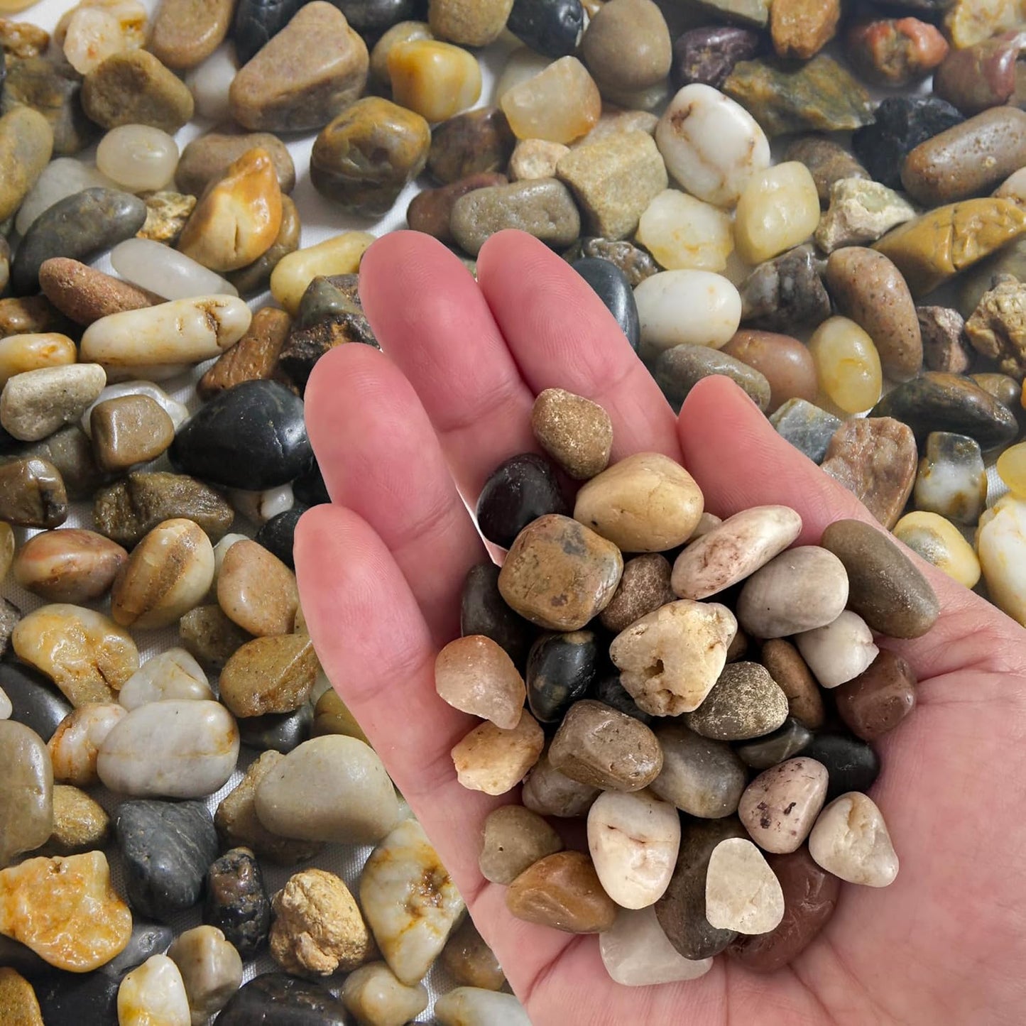 Pebbles Polished Gravel, Natural Polished Mixed Color Stones,0.5-1.2inch Small Decorative River Rock Stones 2 Pounds (32-Oz)