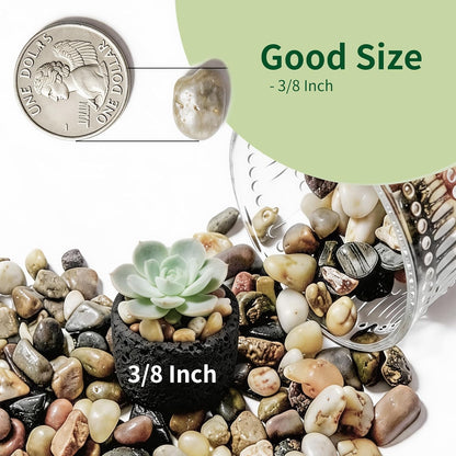 Pebbles Polished Gravel, Natural Polished Mixed Color Stones,0.5-1.2inch Small Decorative River Rock Stones 2 Pounds (32-Oz)