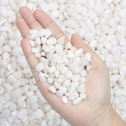 Pebbles Polished Gravel, Natural Polished Mixed Color Stones,0.5-1.2inch Small Decorative River Rock Stones 2 Pounds (32-Oz)