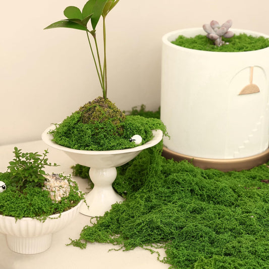 5.3oz Fake Moss for Crafts, Green Artificial Moss for Plants Indoor Outdoor | Faux Moss for DIY Crafts, Fairy Garden Accessories, Decorative Faux Grass for Planter, Pot Fillers, Model Making, Table, Wall