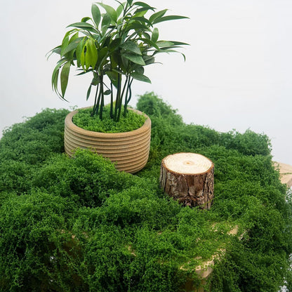 12oz Fake Green Moss for Plants Indoor with Gloves and Tweezers | Artificial Faux Moss for Craft DIY Table Centerpieces Living Walls Fairy Garden Indoor Outdoor Home Decorating Model Making