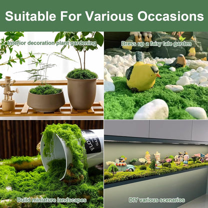 12oz Fake Green Moss for Plants Indoor with Gloves and Tweezers | Artificial Faux Moss for Craft DIY Table Centerpieces Living Walls Fairy Garden Indoor Outdoor Home Decorating Model Making