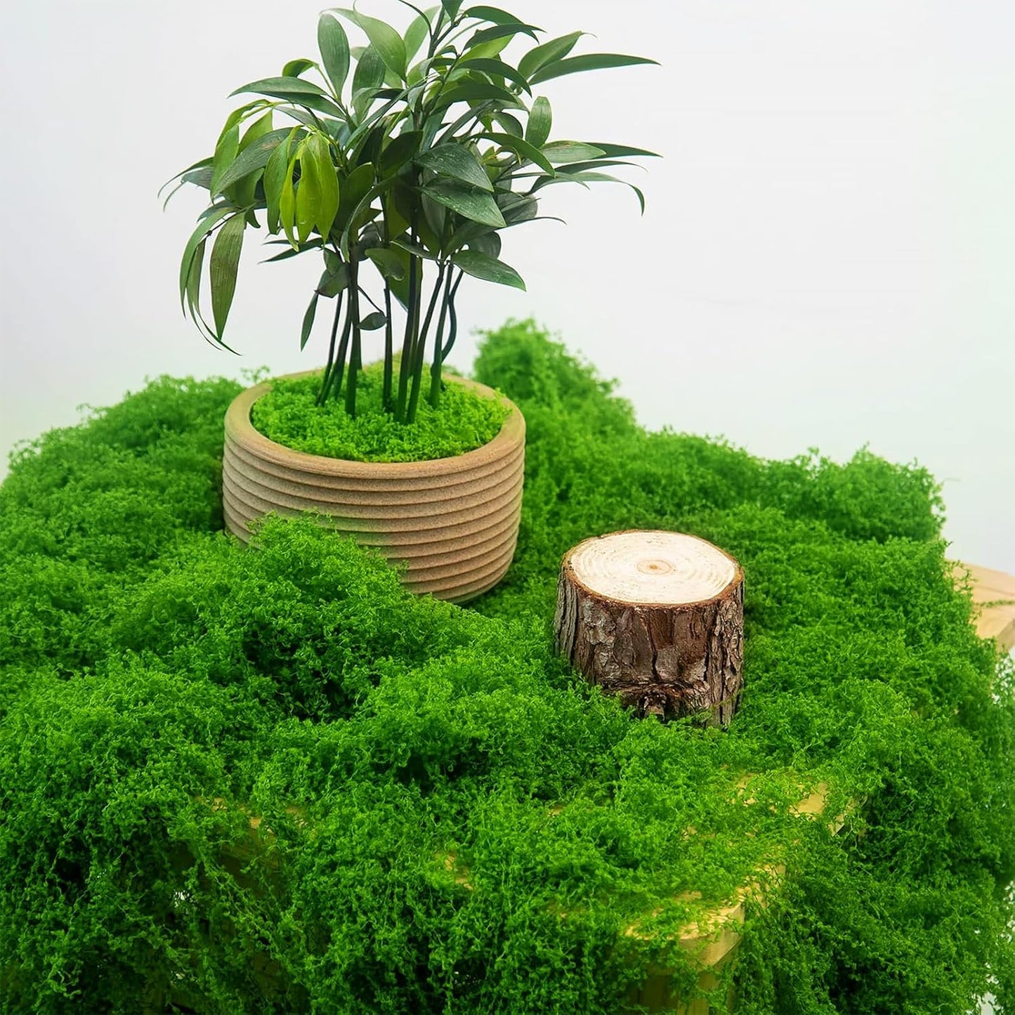 12oz Fake Green Moss for Plants Indoor with Gloves and Tweezers | Artificial Faux Moss for Craft DIY Table Centerpieces Living Walls Fairy Garden Indoor Outdoor Home Decorating Model Making