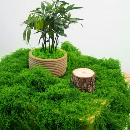 12oz Fake Green Moss for Plants Indoor with Gloves and Tweezers | Artificial Faux Moss for Craft DIY Table Centerpieces Living Walls Fairy Garden Indoor Outdoor Home Decorating Model Making