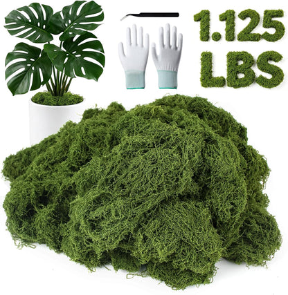 12oz Fake Green Moss for Plants Indoor with Gloves and Tweezers | Artificial Faux Moss for Craft DIY Table Centerpieces Living Walls Fairy Garden Indoor Outdoor Home Decorating Model Making
