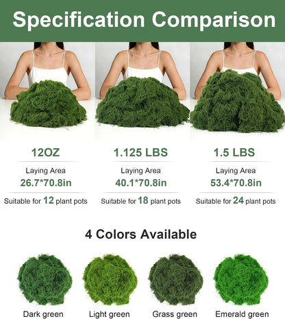 12oz Fake Green Moss for Plants Indoor with Gloves and Tweezers | Artificial Faux Moss for Craft DIY Table Centerpieces Living Walls Fairy Garden Indoor Outdoor Home Decorating Model Making