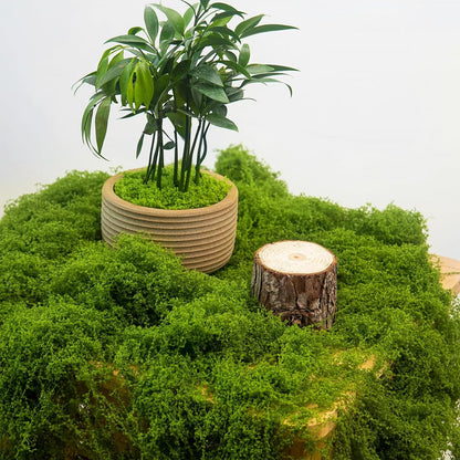 12oz Fake Green Moss for Plants Indoor with Gloves and Tweezers | Artificial Faux Moss for Craft DIY Table Centerpieces Living Walls Fairy Garden Indoor Outdoor Home Decorating Model Making