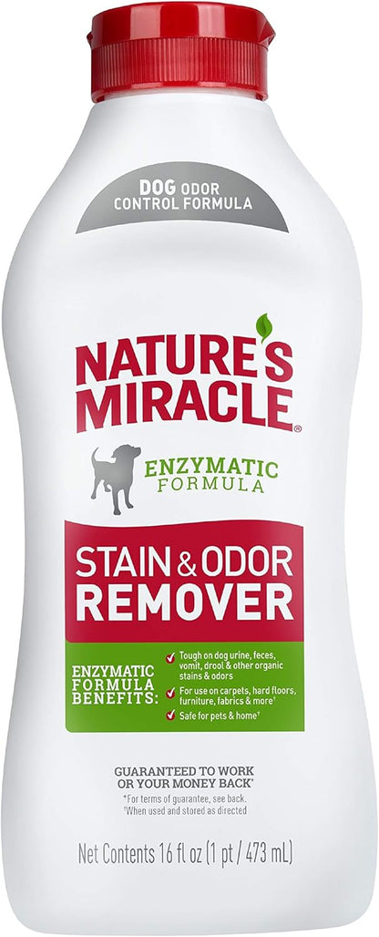 Outdoor Stain & Odor Remover, 64 fl oz, Removes Dog & Cat Messes, Convenient Flip & Go Sprayer, Ready-to-Use, Multi-Pet & Multi-Mess Formula