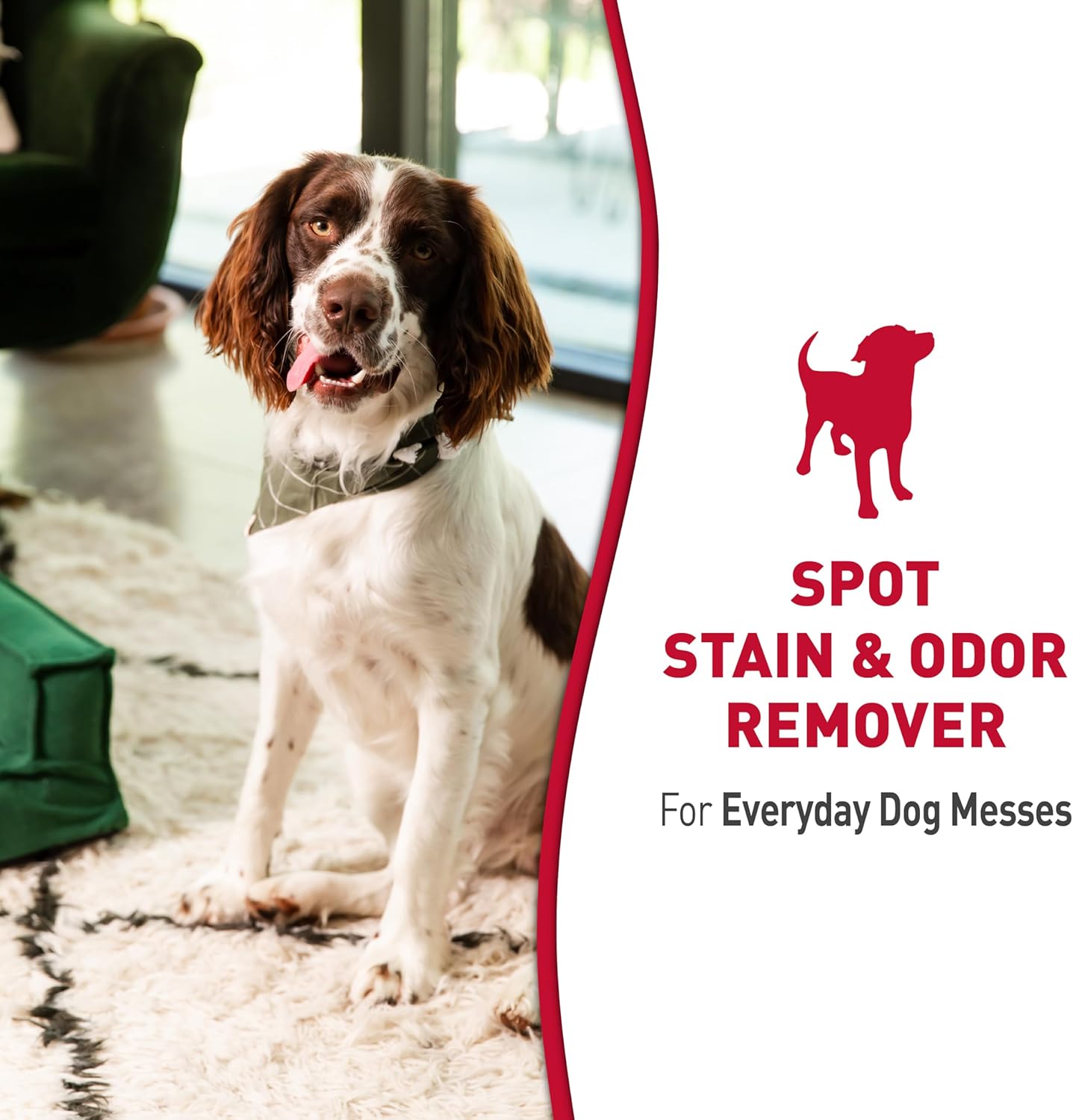 Outdoor Stain & Odor Remover, 64 fl oz, Removes Dog & Cat Messes, Convenient Flip & Go Sprayer, Ready-to-Use, Multi-Pet & Multi-Mess Formula