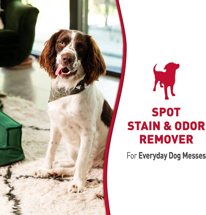 Outdoor Stain & Odor Remover, 64 fl oz, Removes Dog & Cat Messes, Convenient Flip & Go Sprayer, Ready-to-Use, Multi-Pet & Multi-Mess Formula