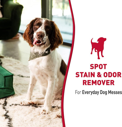 Outdoor Stain & Odor Remover, 64 fl oz, Removes Dog & Cat Messes, Convenient Flip & Go Sprayer, Ready-to-Use, Multi-Pet & Multi-Mess Formula