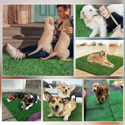 Dog Grass Pad,51.2x31.5In Fake Grass for Dogs,Artificial Grass Pee Pad for Puppies Potty Training Indoor Outdoor