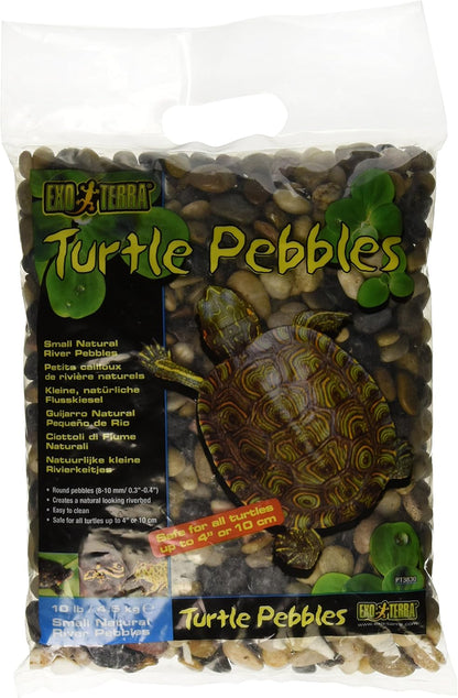Turtle Pebbles, Large