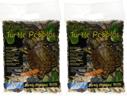 Turtle Pebbles, Large