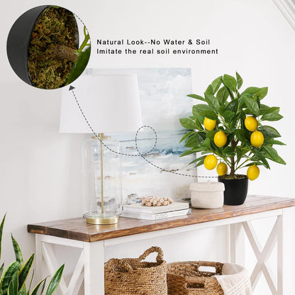 Artificial Potted Plants 16.1 inches Fake Orange Tree Artificial Citrus Fruit Plant with White Pot Faux Plants Indoor for Home,Office, Living Room Table, Desk